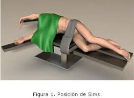 Sims